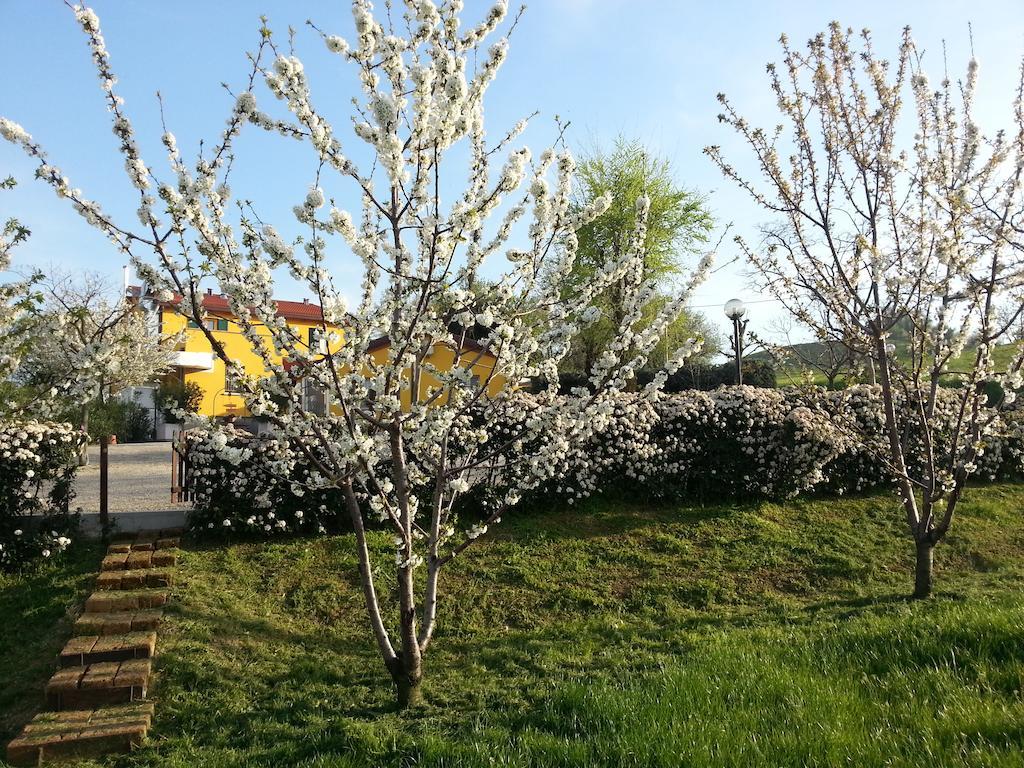 Osteria Da Cesare E Locanda Castel San Pietro Terme Exterior photo